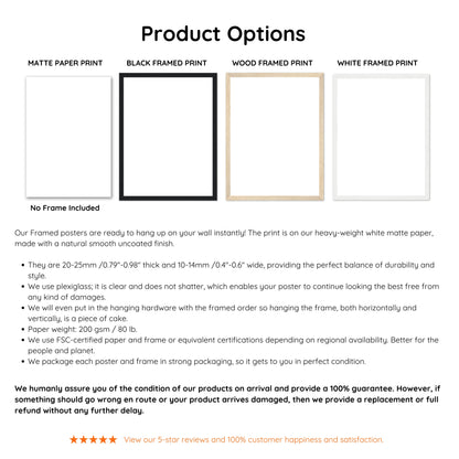 Sea Urchin Shell, Coastal Aesthetic, Coastal Granddaughter, Coastal Art Print, Beach House Gift, Nautical Wall Decor, Coastal Home Decor