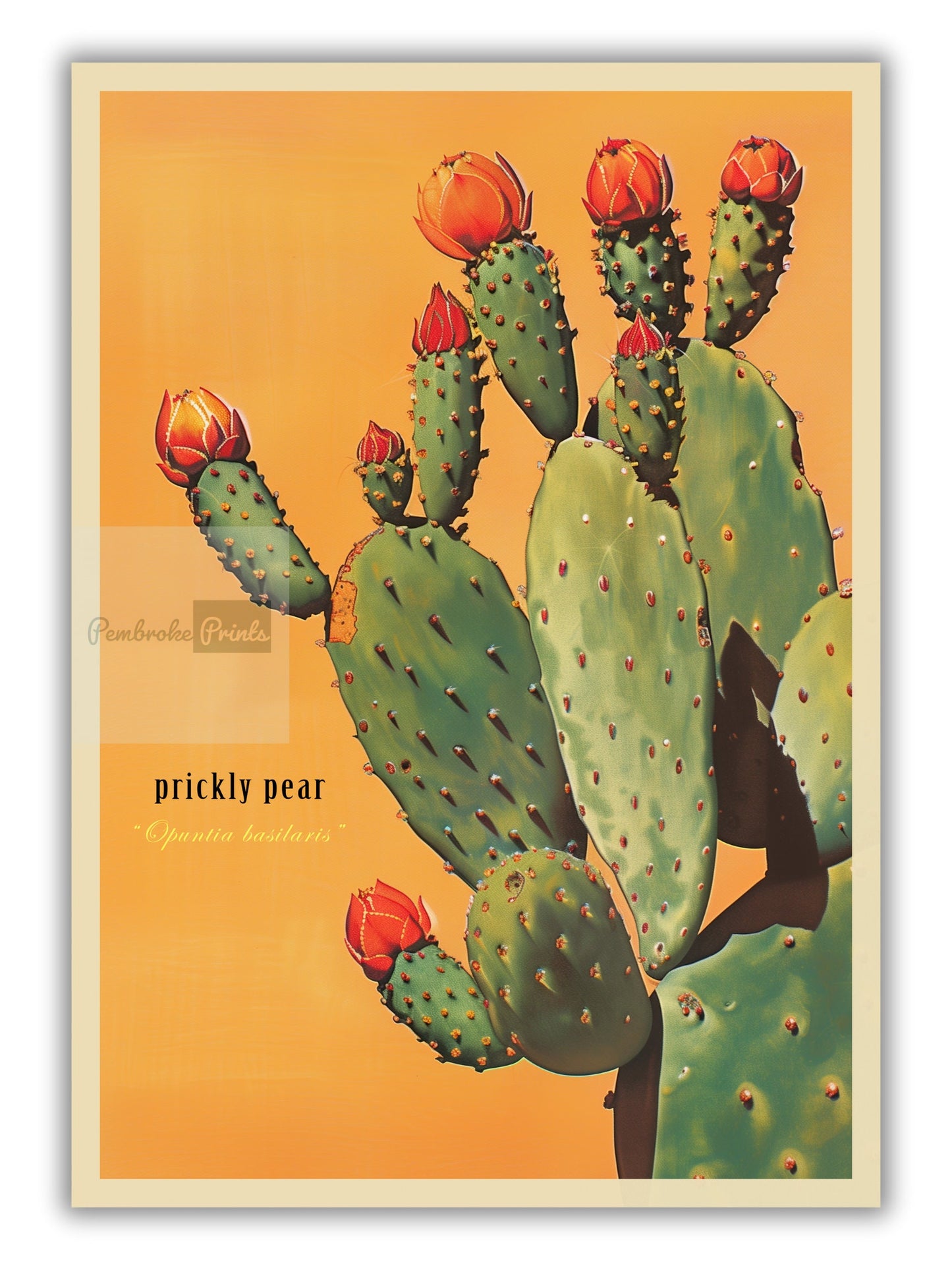 Vintage Prickly Pear Cactus Print, The Sonoran Desert Print Retro Outdoors Poster, Arizona Cabin Cottage Wall Art, Botanical Cacti Desert
