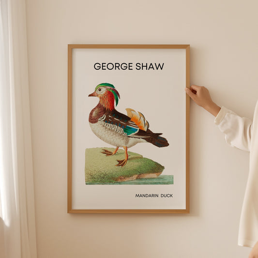 Mandarin Duck Poster, Feng Shui Decor, Vintage Wall Art, George Shaw Print, Modern Wall Decor, Farmhouse Decor, 18th Century