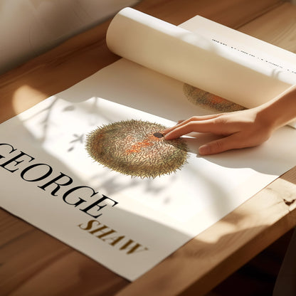 Sea Urchin Shell, Coastal Aesthetic, Coastal Granddaughter, Coastal Art Print, Beach House Gift, Nautical Wall Decor, Coastal Home Decor