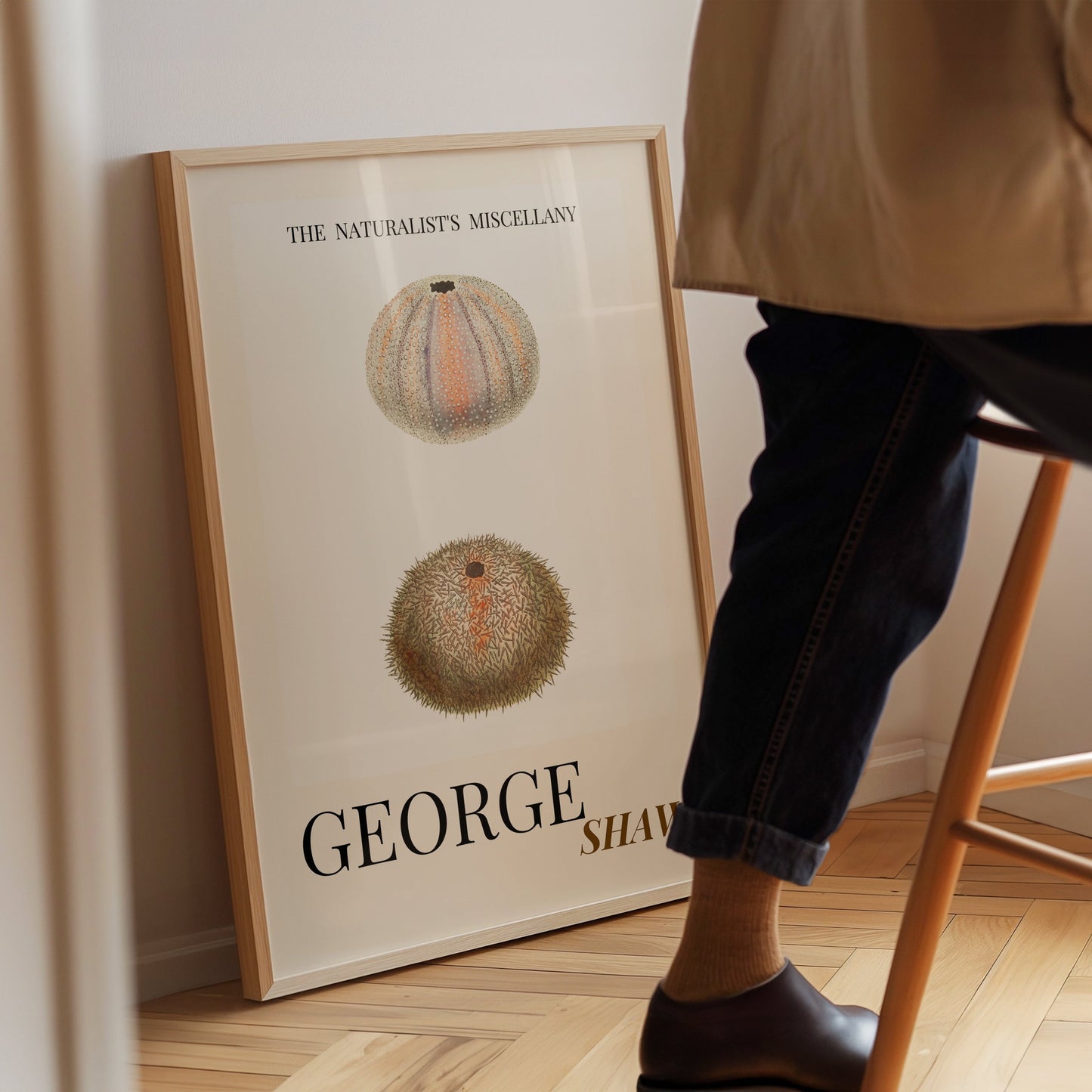 Sea Urchin Shell, Coastal Aesthetic, Coastal Granddaughter, Coastal Art Print, Beach House Gift, Nautical Wall Decor, Coastal Home Decor