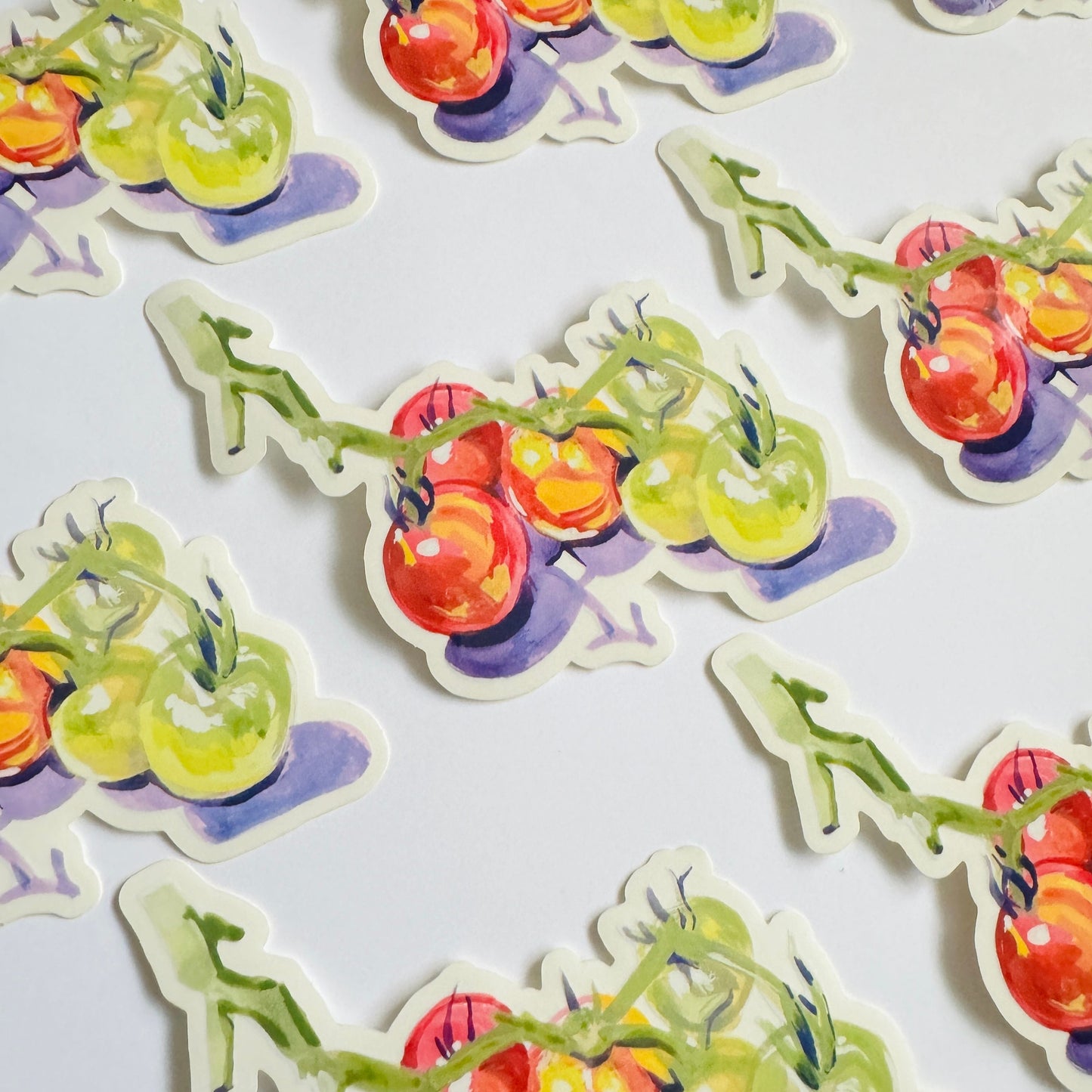 Cherry Tomatoes| Painted Illustration Clear Vinyl Sticker | 4.5" Decal Gardening Tomatoes