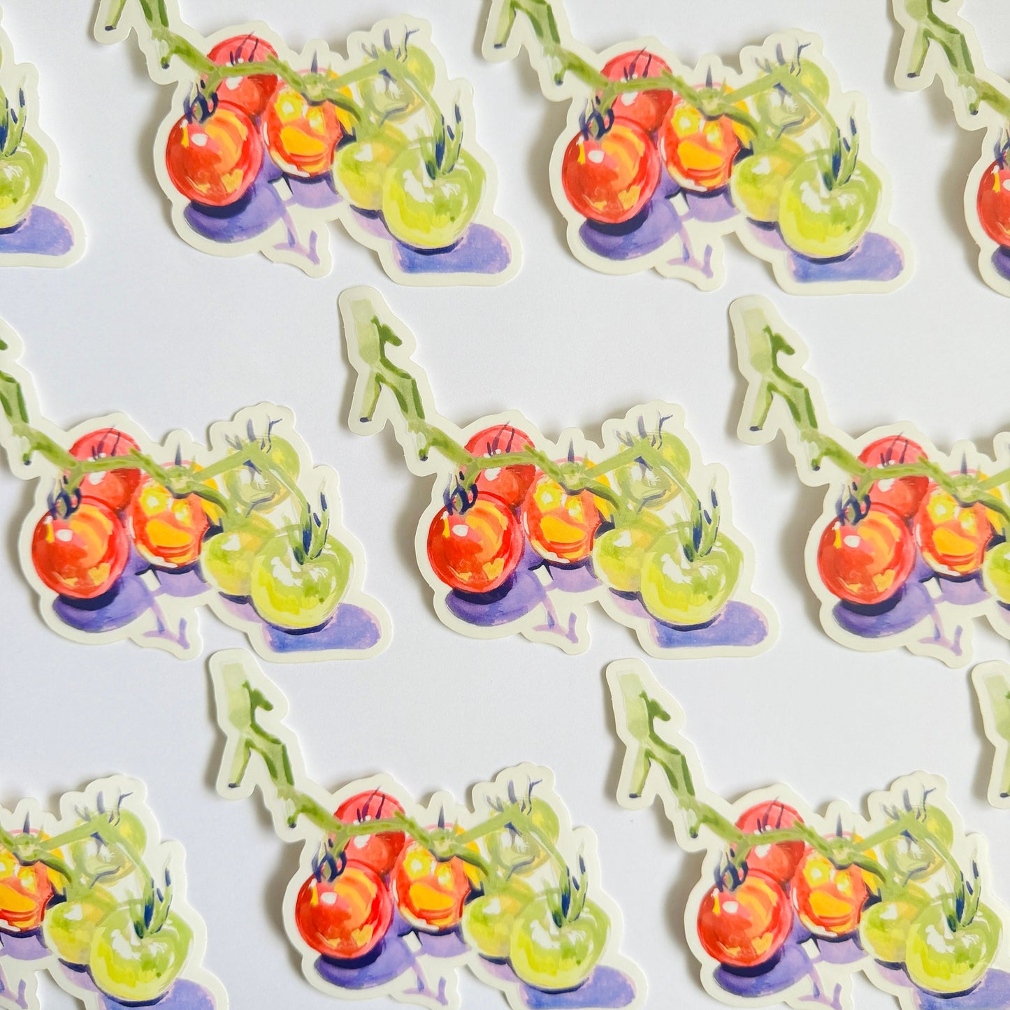 Cherry Tomatoes| Painted Illustration Clear Vinyl Sticker | 4.5" Decal Gardening Tomatoes