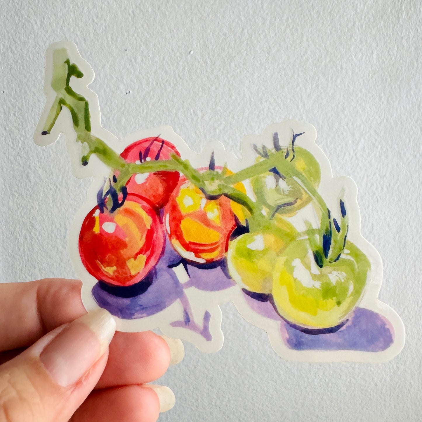 Cherry Tomatoes| Painted Illustration Clear Vinyl Sticker | 4.5" Decal Gardening Tomatoes