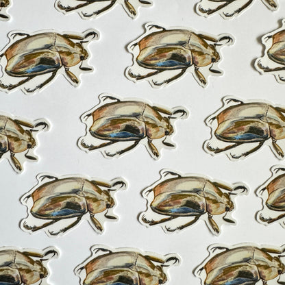 Jewel Scarab Beetle Sticker | 3.5" Sticker Decal | Water-Resistant | Entomology Insects Beetles