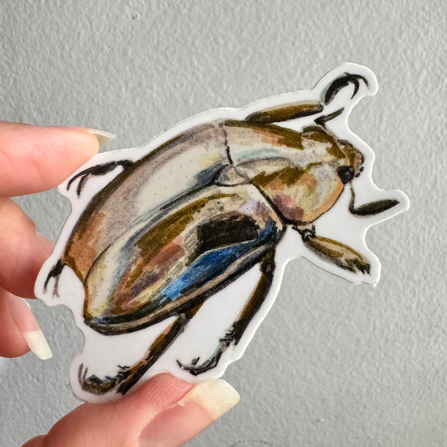 Jewel Scarab Beetle Sticker | 3.5" Sticker Decal | Water-Resistant | Entomology Insects Beetles