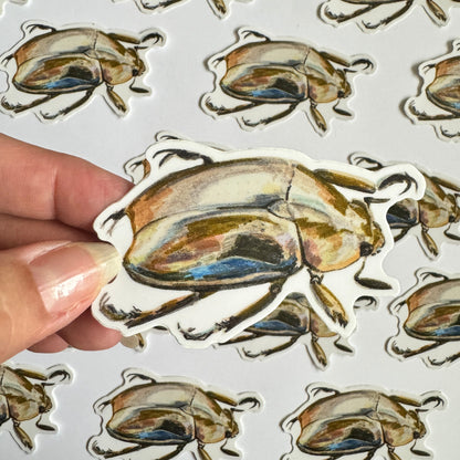 Jewel Scarab Beetle Sticker | 3.5" Sticker Decal | Water-Resistant | Entomology Insects Beetles