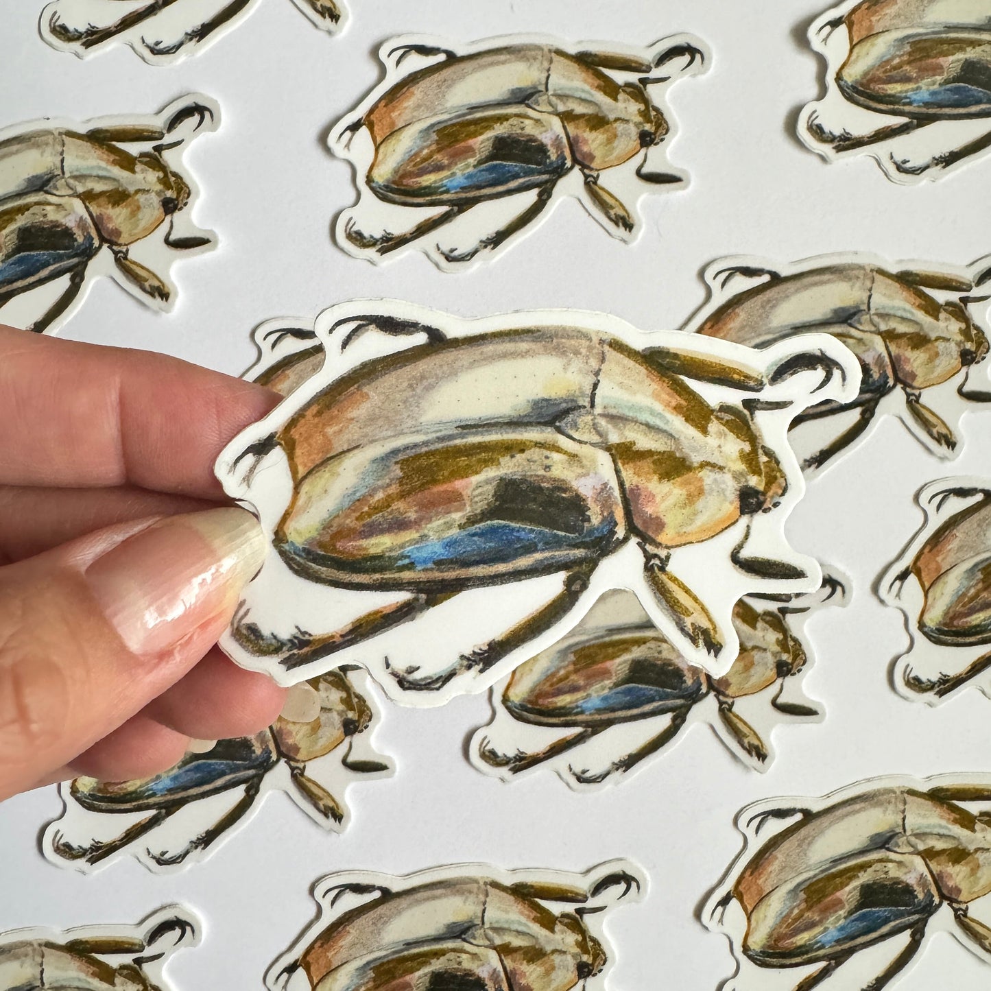 Jewel Scarab Beetle Sticker | 3.5" Sticker Decal | Water-Resistant | Entomology Insects Beetles
