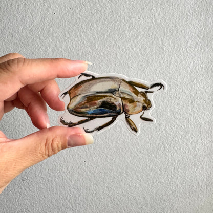 Jewel Scarab Beetle Sticker | 3.5" Sticker Decal | Water-Resistant | Entomology Insects Beetles