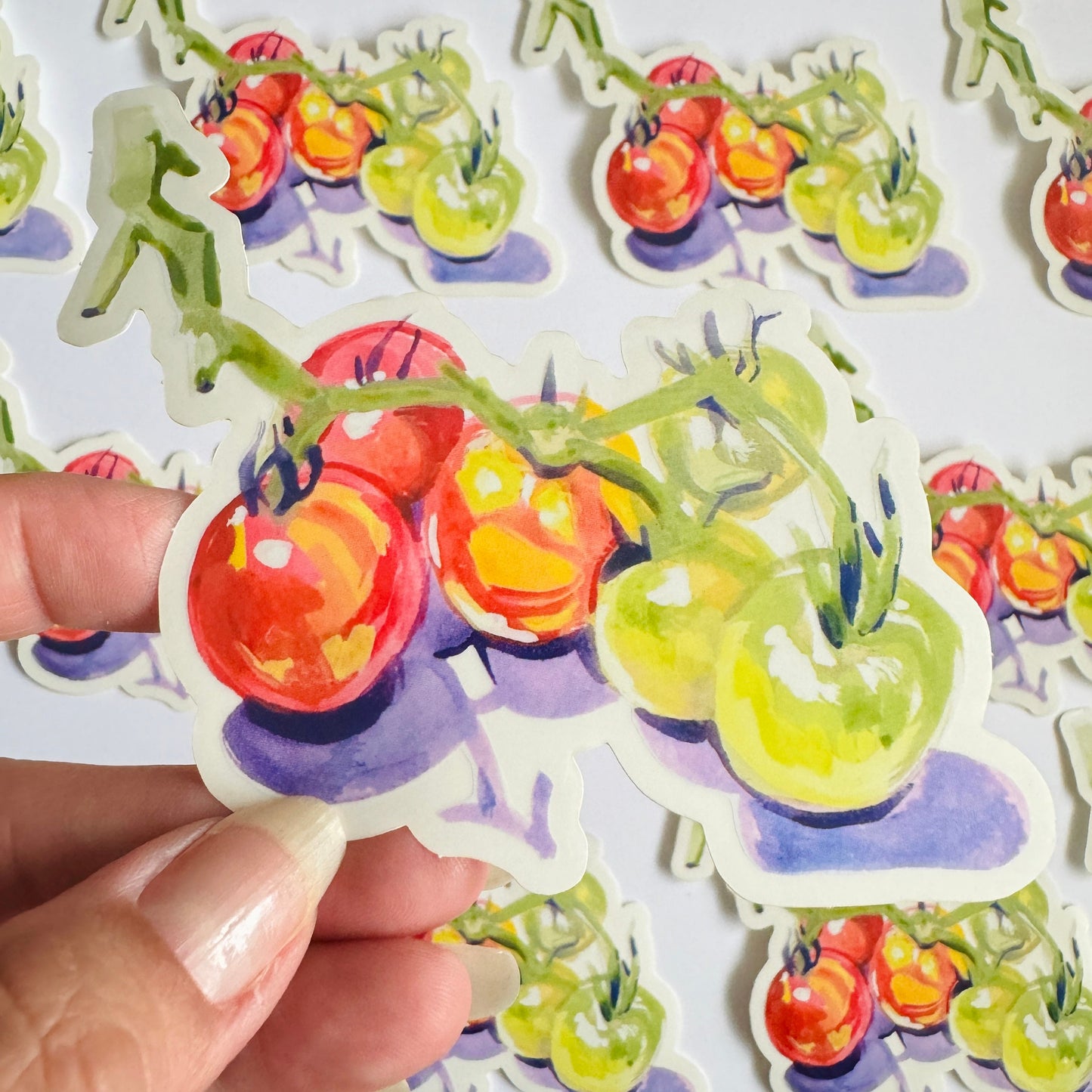 Cherry Tomatoes| Painted Illustration Clear Vinyl Sticker | 4.5" Decal Gardening Tomatoes