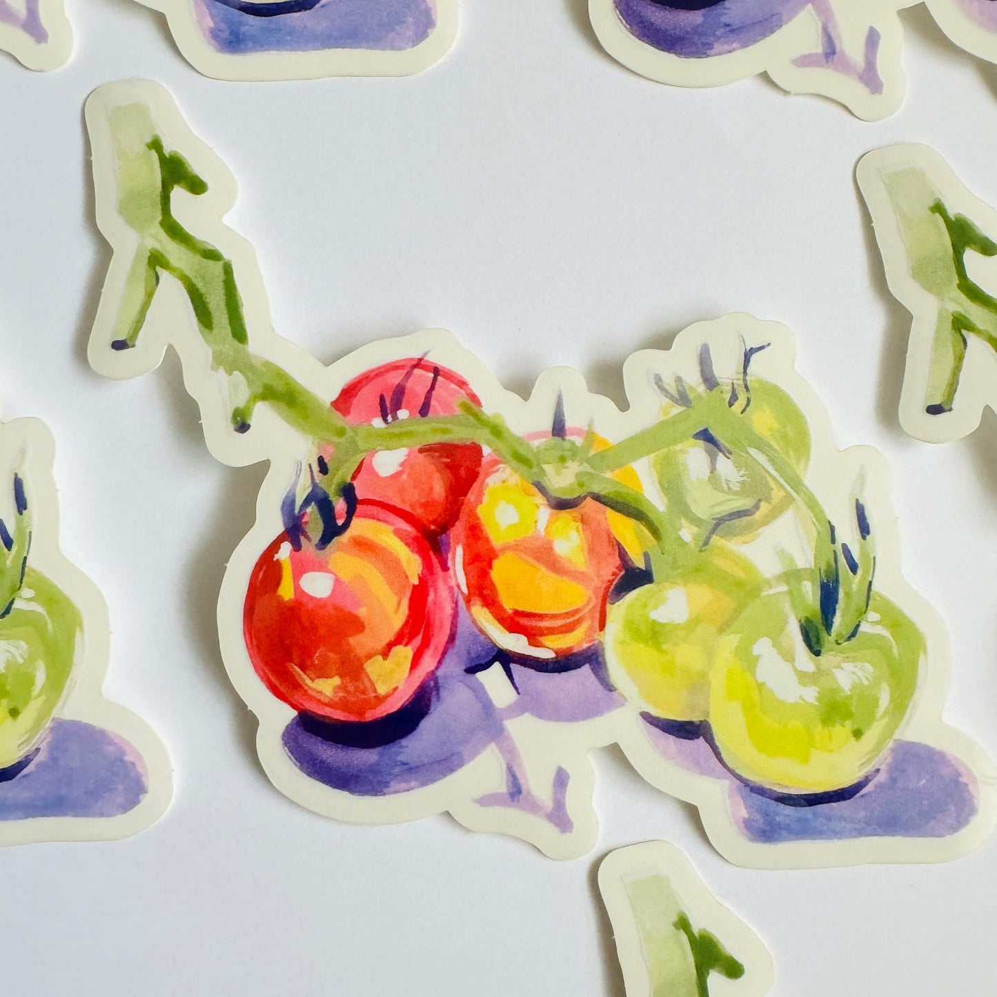 Cherry Tomatoes| Painted Illustration Clear Vinyl Sticker | 4.5" Decal Gardening Tomatoes