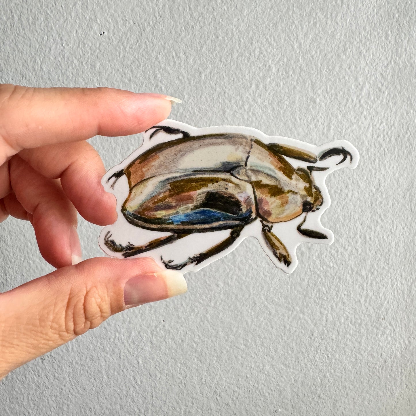 Jewel Scarab Beetle Sticker | 3.5" Sticker Decal | Water-Resistant | Entomology Insects Beetles
