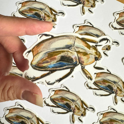 Jewel Scarab Beetle Sticker | 3.5" Sticker Decal | Water-Resistant | Entomology Insects Beetles