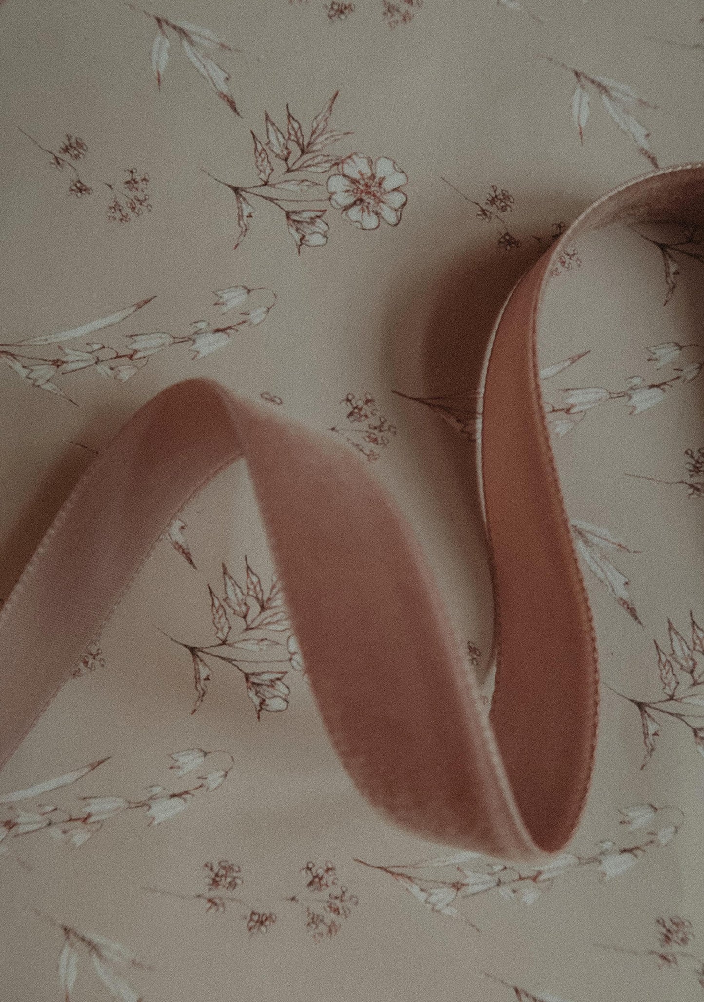 Velvet ribbon rose, 2.5m bundle velvet ribbon, gift velvet ribbon, gift wrapping ribbon,for gift wrapping