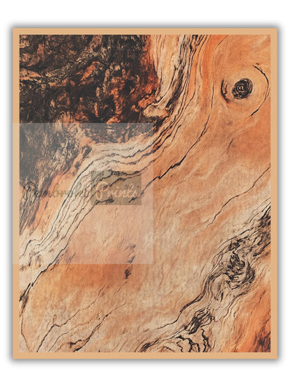 Rose Wood Wall Decor Rustic Boho Style Print Luxury Antique Wooden Style Living Room Wall Art Mid Century Modern Minimalist Simplistic Art