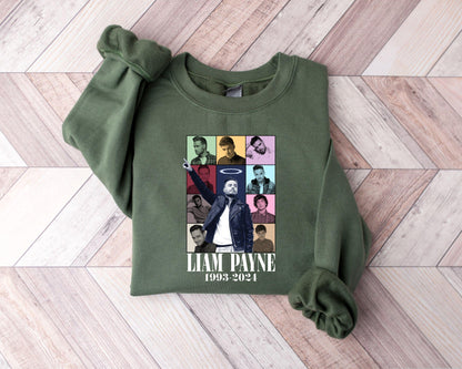 One Direction T-Shirt, Thank You Liam Payne Sweatshirt, One Direction Gift For Fan, Music Tour T-Shirt