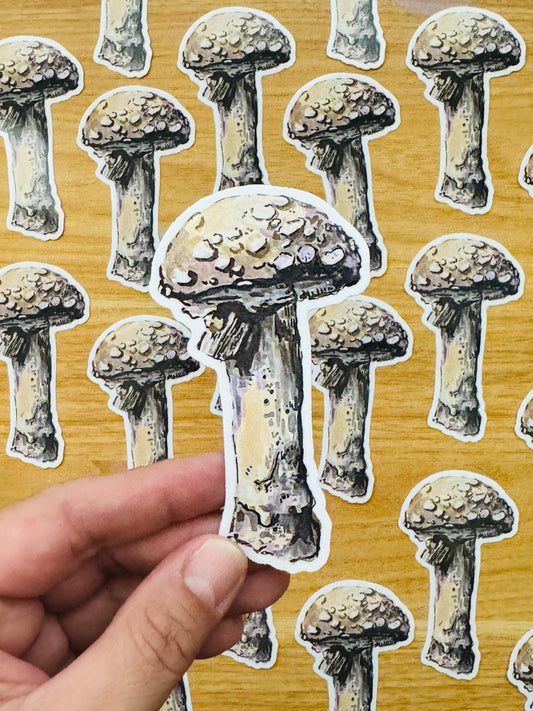 Mushroom  Decal | Waterproof  Weatherproof | Forest Fungi Mushroom Sticker