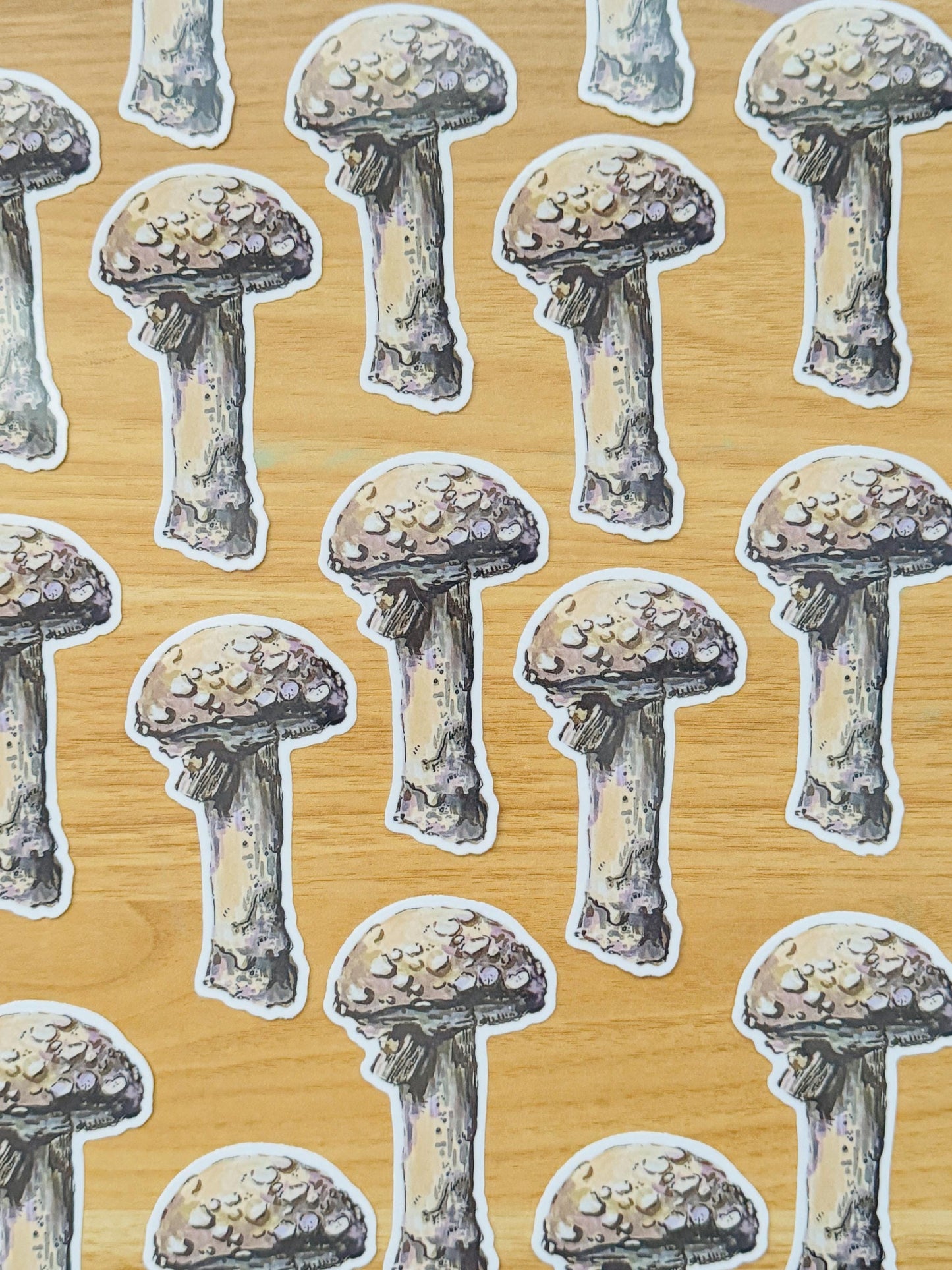 Mushroom  Decal | Waterproof  Weatherproof | Forest Fungi Mushroom Sticker