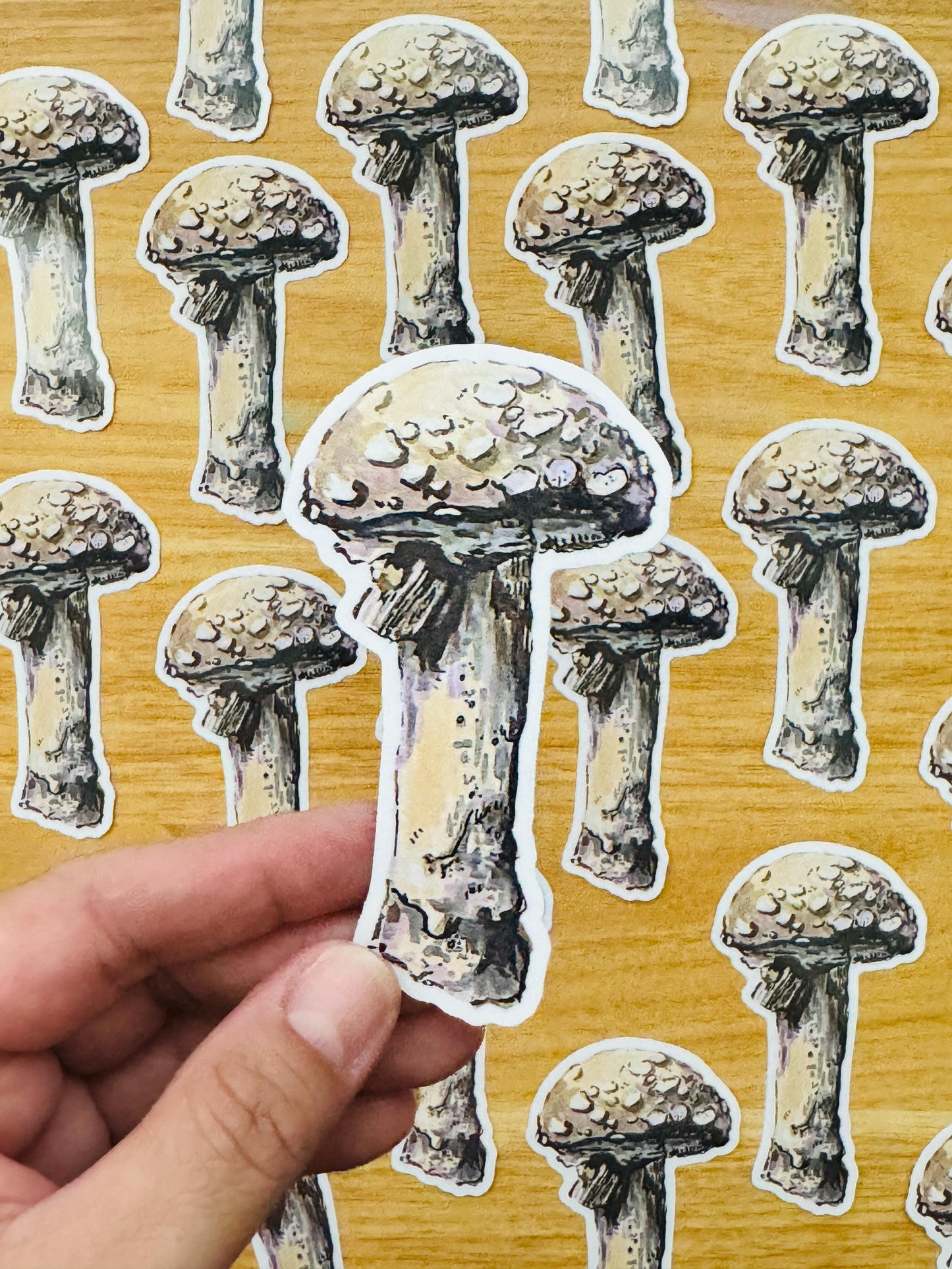 Mushroom  Decal | Waterproof  Weatherproof | Forest Fungi Mushroom Sticker