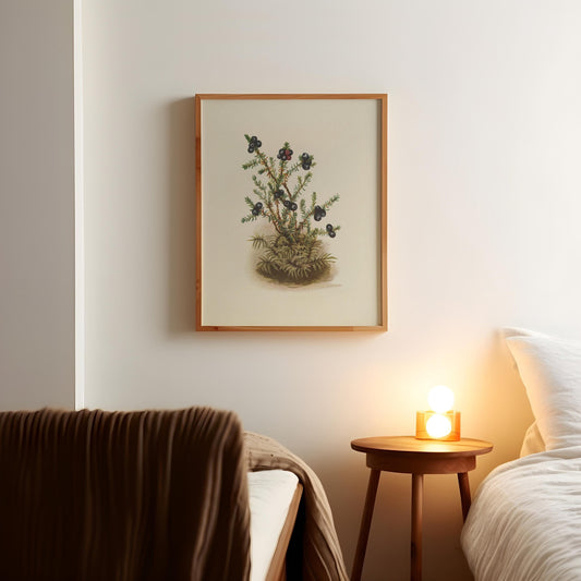Vintage Berry Painting Print Antique Wildflower Illustration Botanical Painting Earth Tones Flowery Bedroom Decor Simplistic Poster