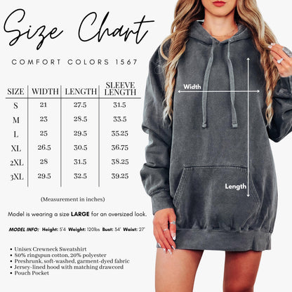 Detroit Football Retro 90s Style Sweatshirt, Game Day Shirt, Detroit Football Shirt, Sunday Football Shirt, Detroit Crewneck Tee