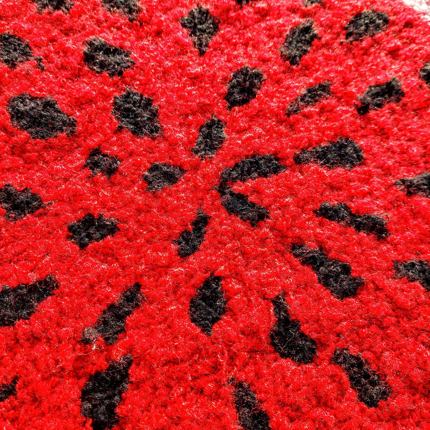 Watermelon Tufted Rug,Hand Tufted Fruit Rug,Custom Rug,Handmade Rug,Kitchen Rug,Area Rug,Home Decor,Living Room Rug,Cool Rug,Modern Rug