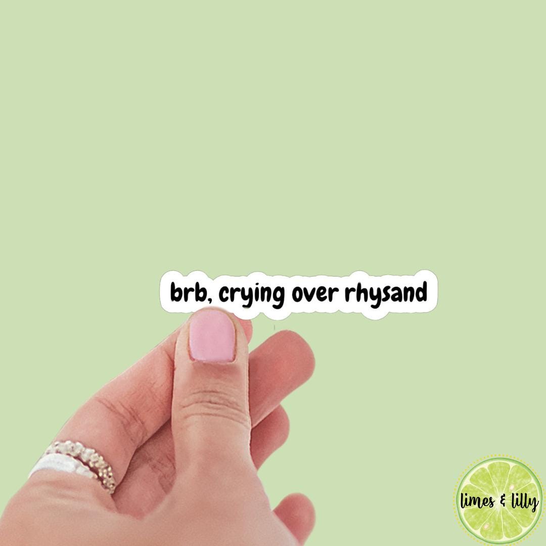 BRB, Crying Over Rhysand Book Boyfriend Sticker, ACOTAR, book inspired, bookish stickers, bat boys, decal, romantasy book merch