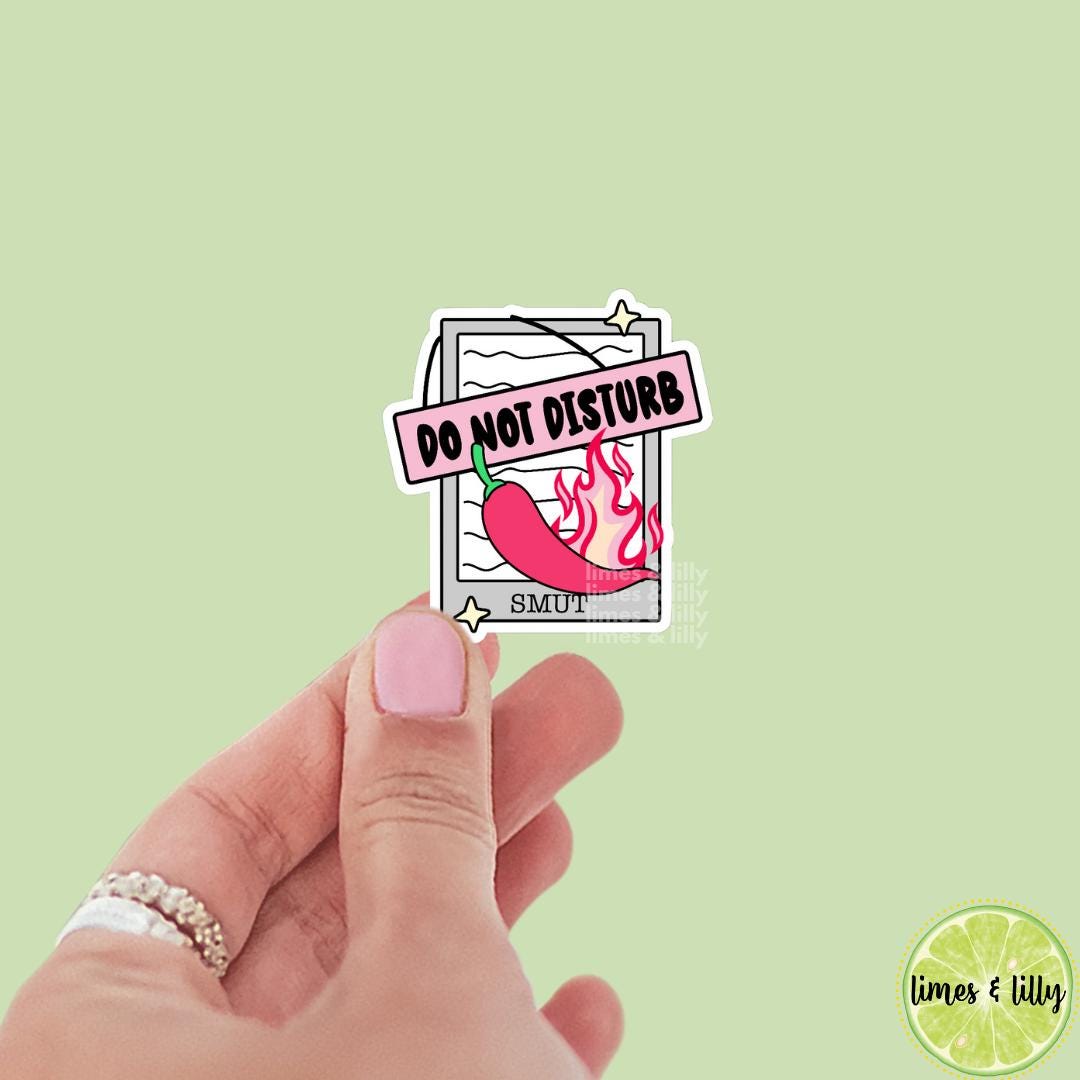 Do Not Disturb Smut Kindle Book Vinyl Sticker | Bookish stickers | kindle stickers | laptop | spicy romance | smutty | trendy stickers
