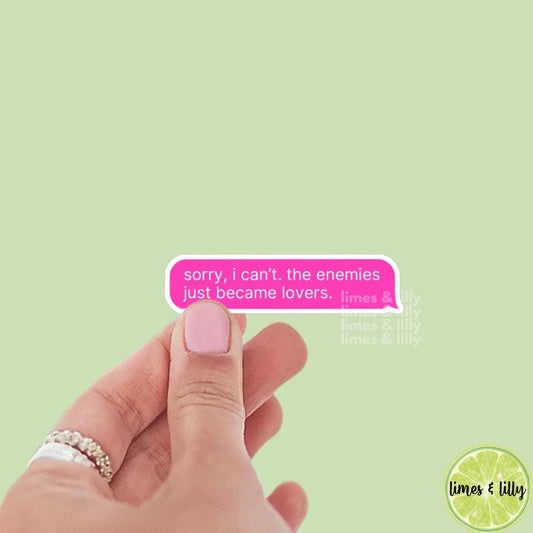 Sorry I Can’t The Enemies Just Became Lovers Pink Text Message Sticker | Bookish Stickers | Kindle Stickers | Sticker Quote | Book Lover |