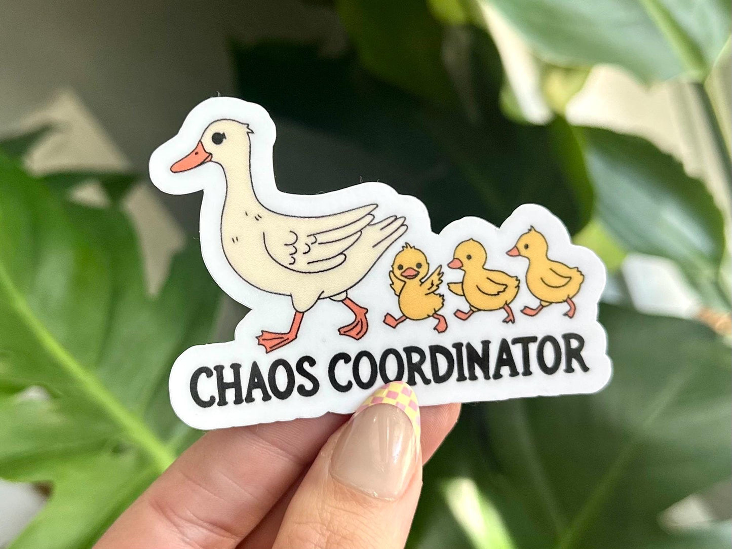 Chaos Coordinator Waterproof Sticker, Mental Health Stickers, Self Love Gifts, Handdrawn Art, Funny Best Friend Gift, Trendy, Mom Teacher