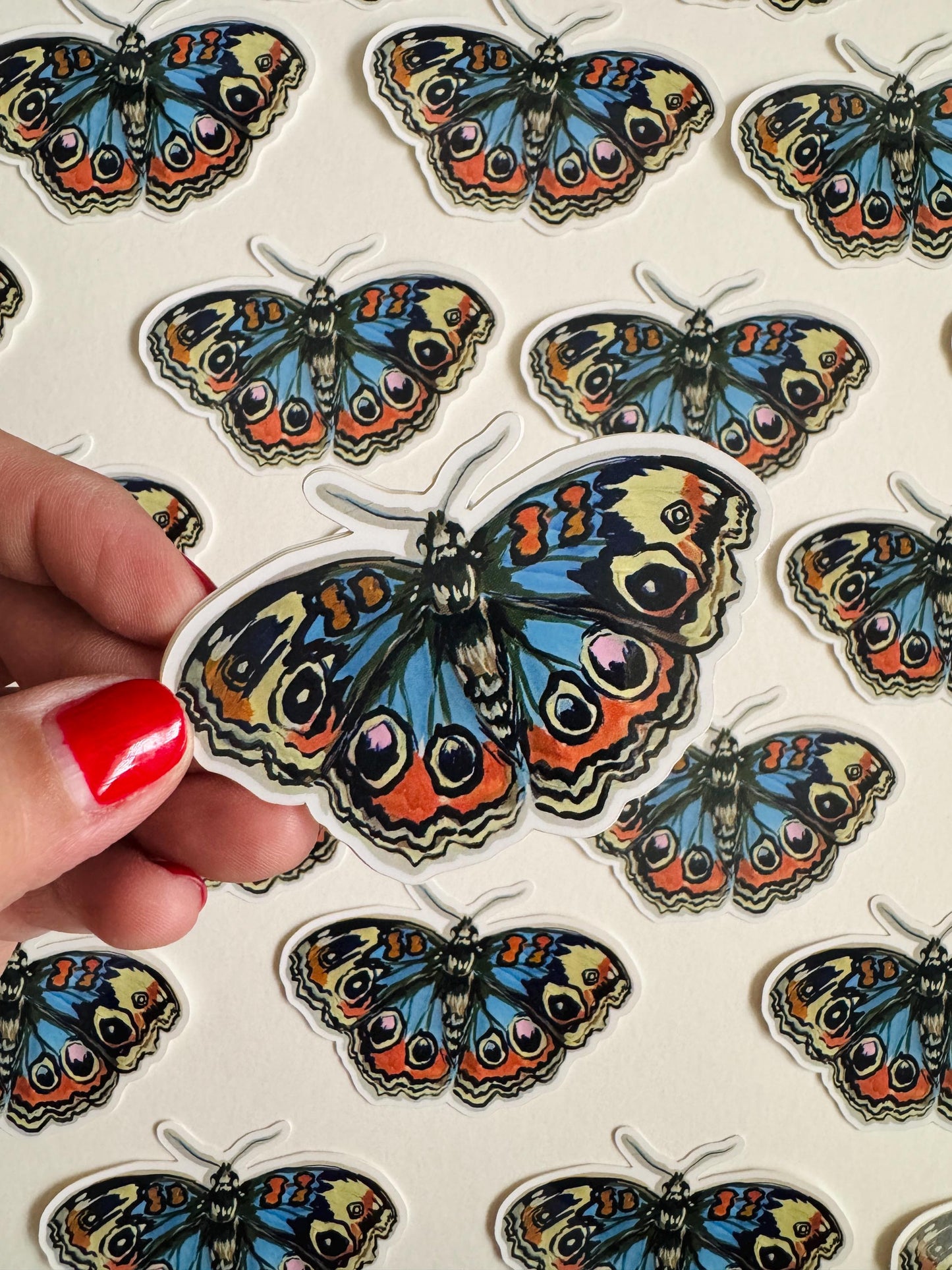 Blue Buckeye Butterfly Sticker  | Illustrated Artwork | Butterfly Decal