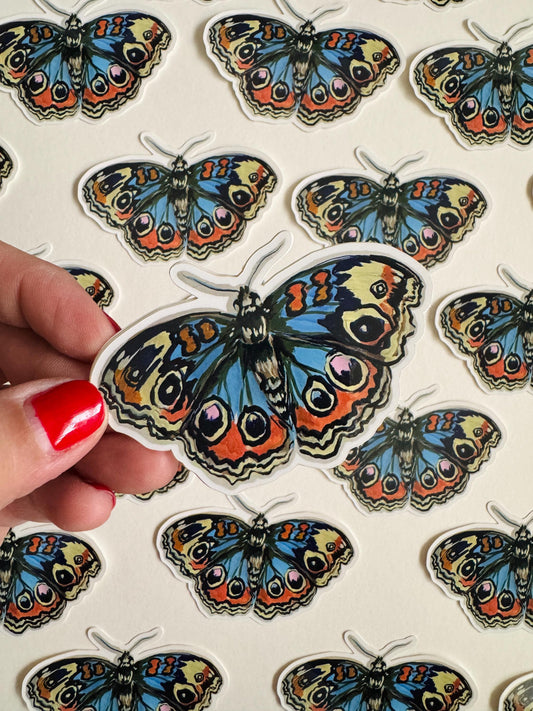 Blue Buckeye Butterfly Sticker  | Illustrated Artwork | Butterfly Decal