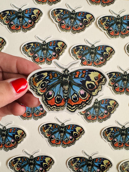 Blue Buckeye Butterfly Sticker  | Illustrated Artwork | Butterfly Decal