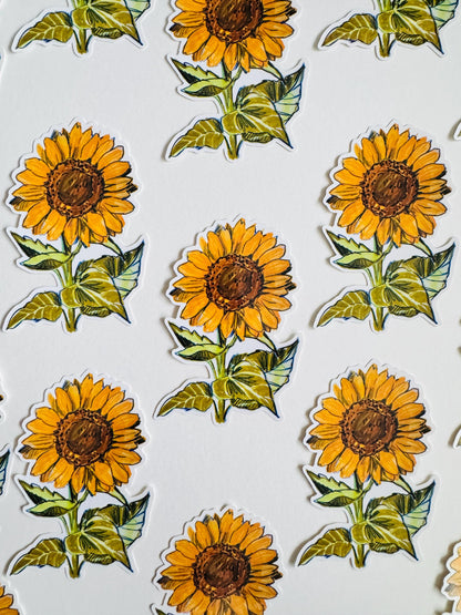 Sunflower Sticker  | Original Illustration Decals | Nature Naturalist Flowers
