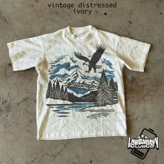 Vintage Eagle Graphic Tee, Retro Wildlife Nature Shirt, Comfort Colors Patriotic T-Shirt, Freedom Aesthetic Streetwear Top