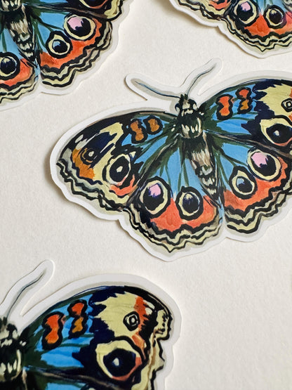 Blue Buckeye Butterfly Sticker  | Illustrated Artwork | Butterfly Decal