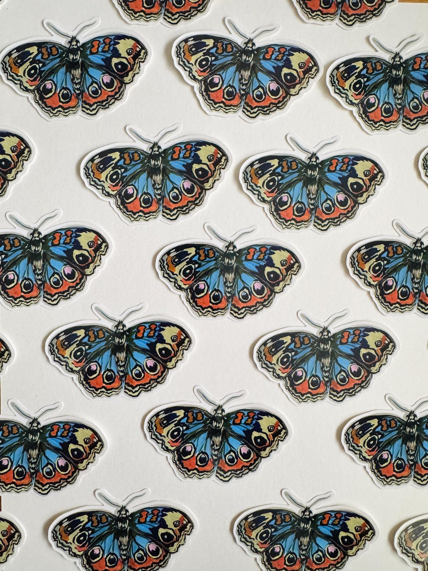 Blue Buckeye Butterfly Sticker  | Illustrated Artwork | Butterfly Decal