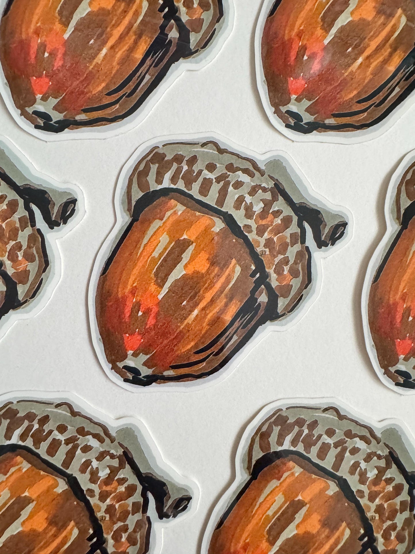 Acord Seed Sticker  | Original Illustration Decals | Nature Naturalist Acorns