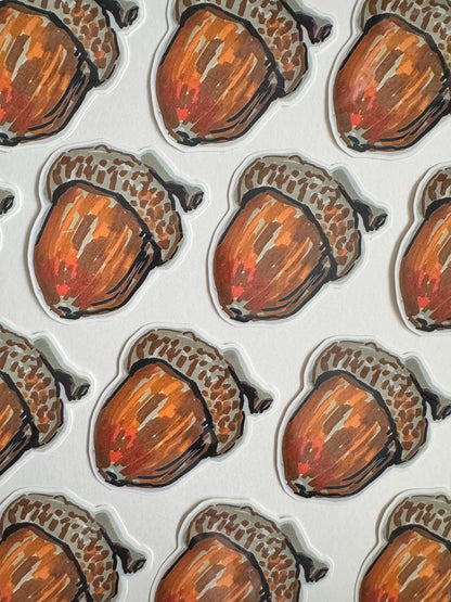Acord Seed Sticker  | Original Illustration Decals | Nature Naturalist Acorns