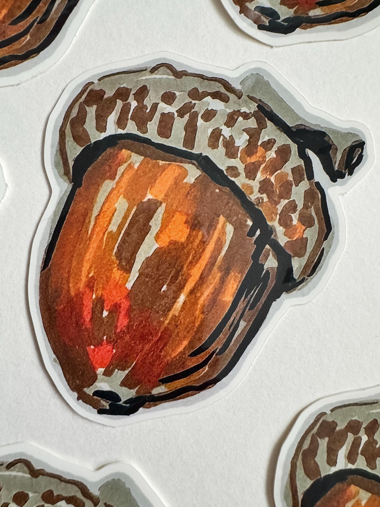 Acord Seed Sticker  | Original Illustration Decals | Nature Naturalist Acorns