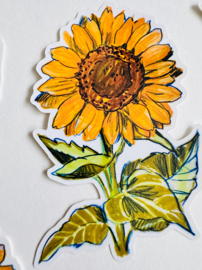 Sunflower Sticker  | Original Illustration Decals | Nature Naturalist Flowers