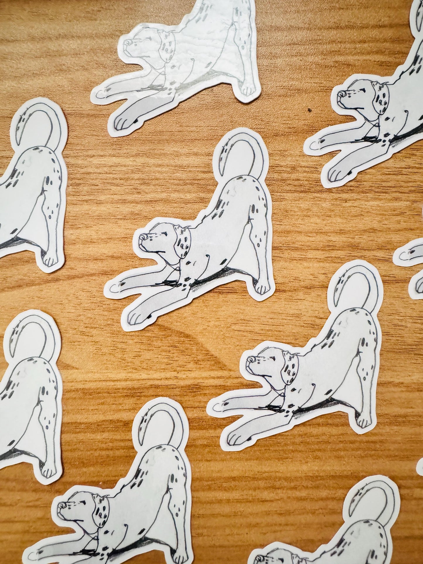 Dog Yoga Dalmatian | Vinyl Sticker Decal | Waterproof  Weatherproof | Cute Dog Portraits drawing