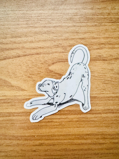 Dog Yoga Dalmatian | Vinyl Sticker Decal | Waterproof  Weatherproof | Cute Dog Portraits drawing