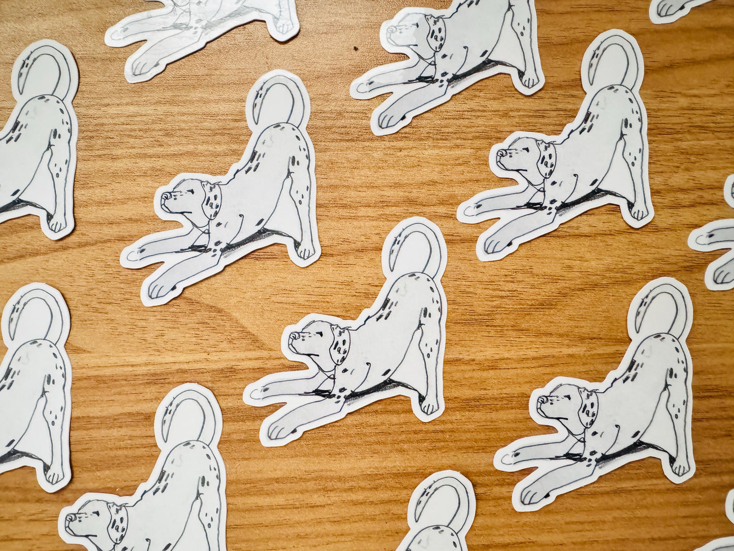 Dog Yoga Dalmatian | Vinyl Sticker Decal | Waterproof  Weatherproof | Cute Dog Portraits drawing