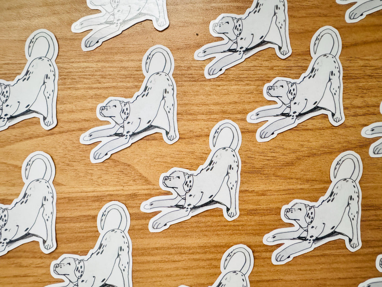 Dog Yoga Dalmatian | Vinyl Sticker Decal | Waterproof  Weatherproof | Cute Dog Portraits drawing