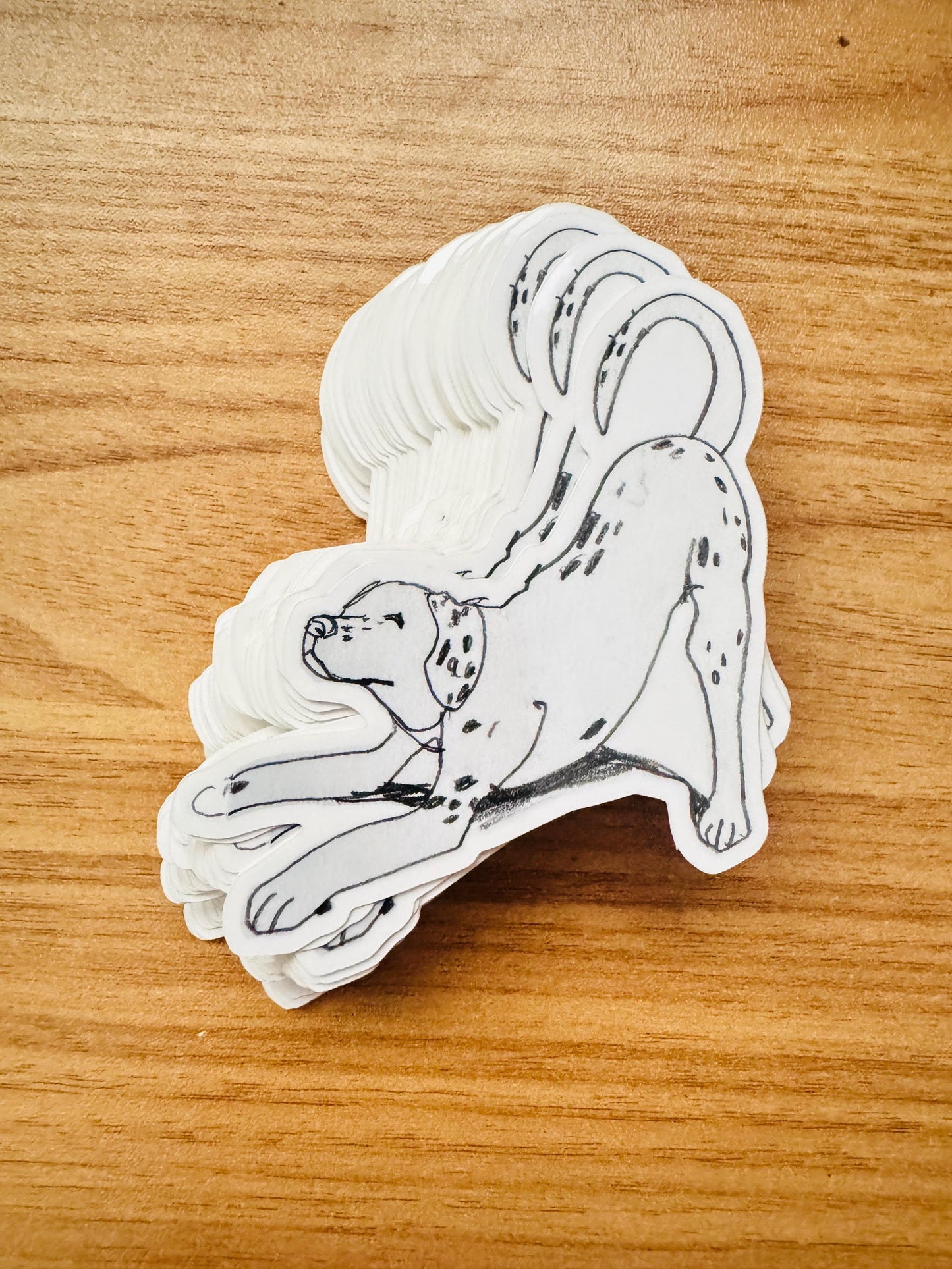 Dog Yoga Dalmatian | Vinyl Sticker Decal | Waterproof  Weatherproof | Cute Dog Portraits drawing