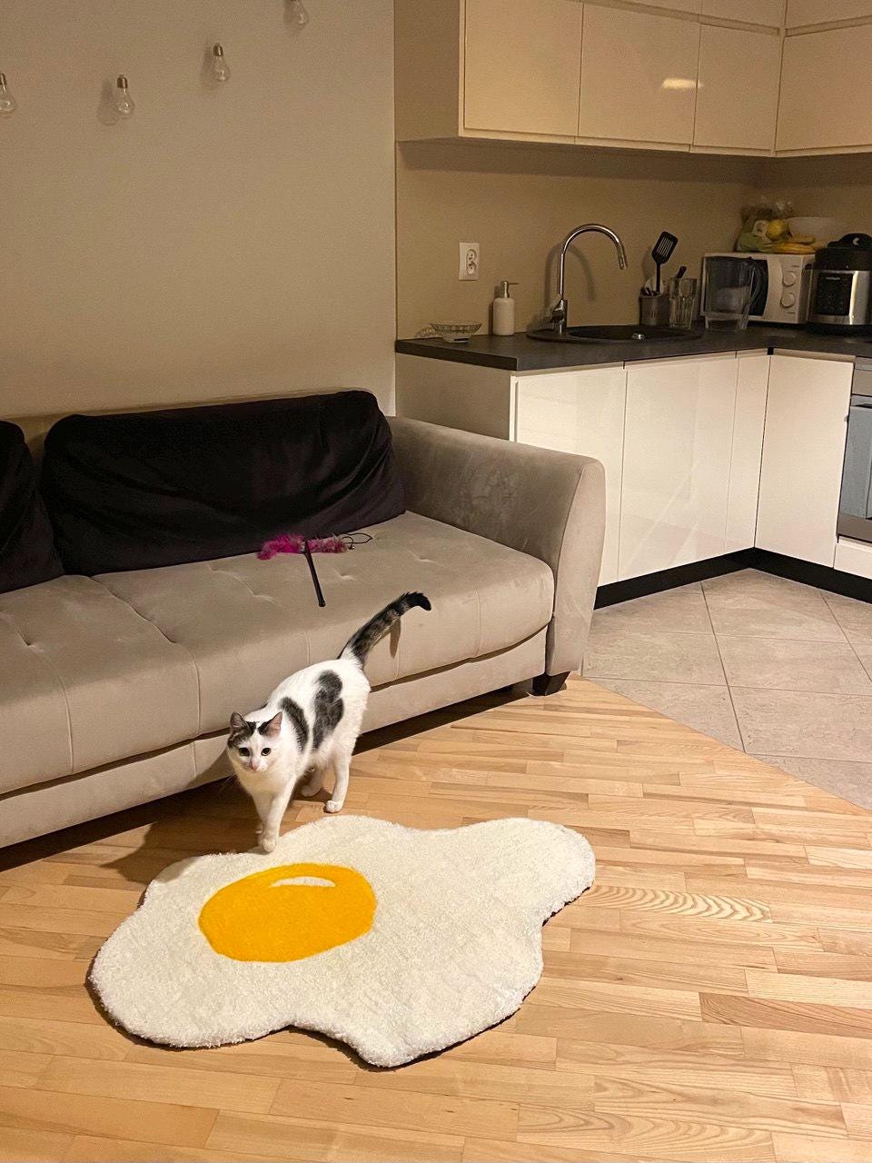 Stylish "Egg" rug made using the tufting method