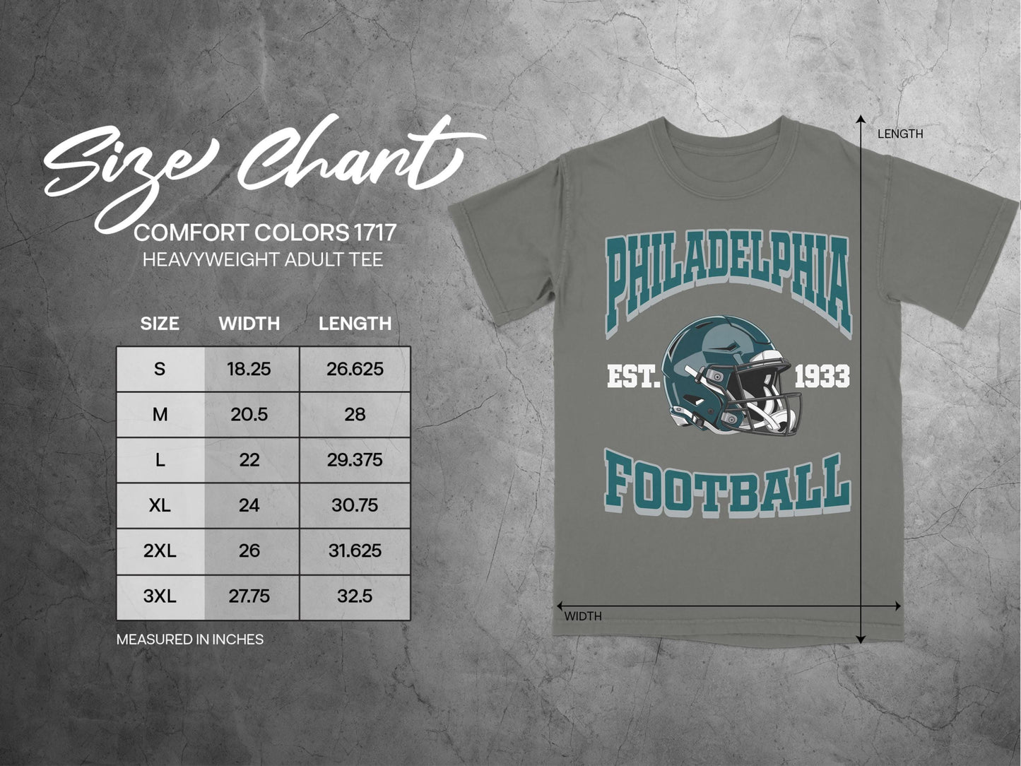 Vintage Philadelphia Football Shirt, Philadelphia Football Sweatshirt, Football Shirt, Philadelphia Team Fan Shirt