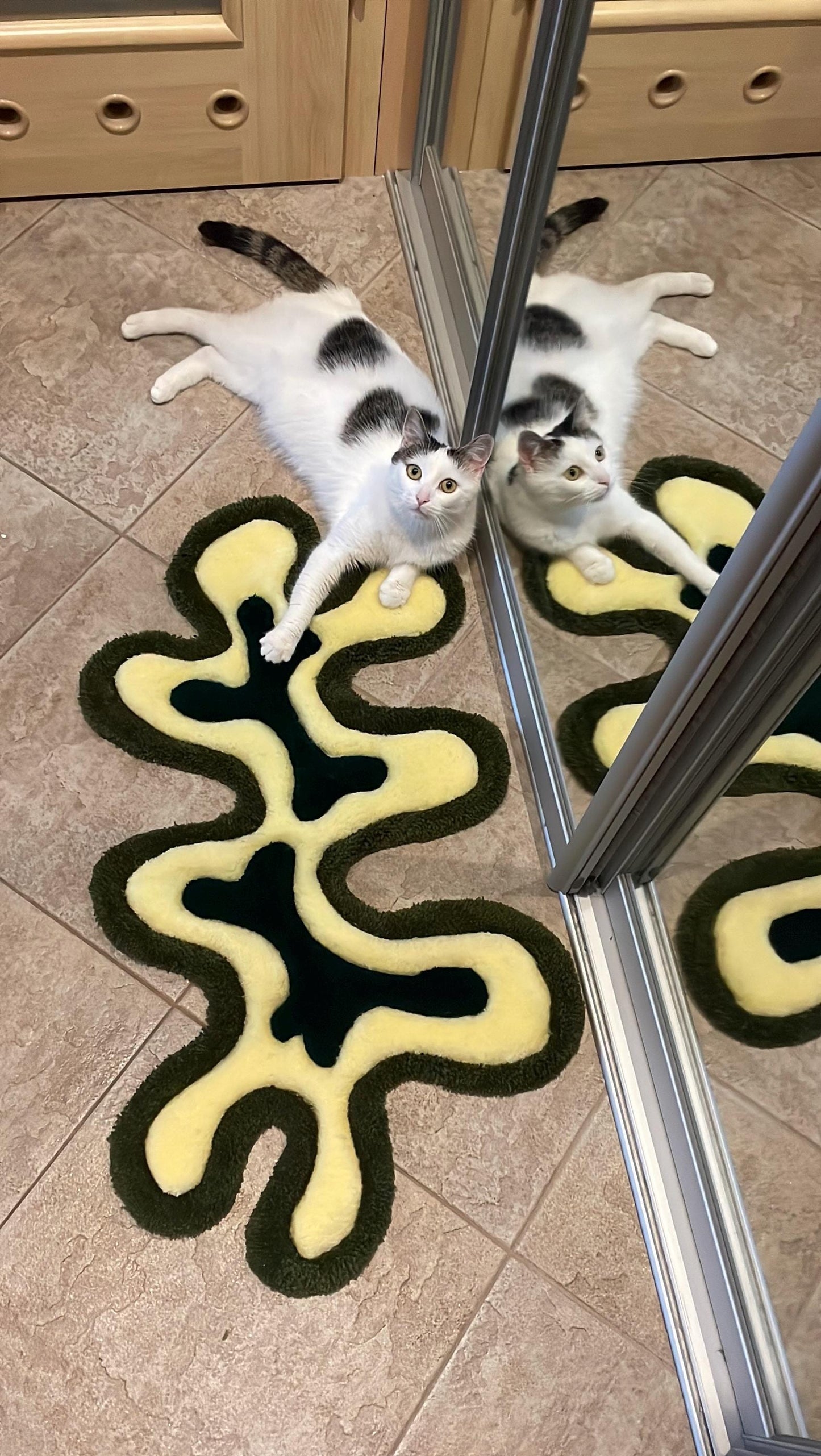 Abstract rug - fits any interior.