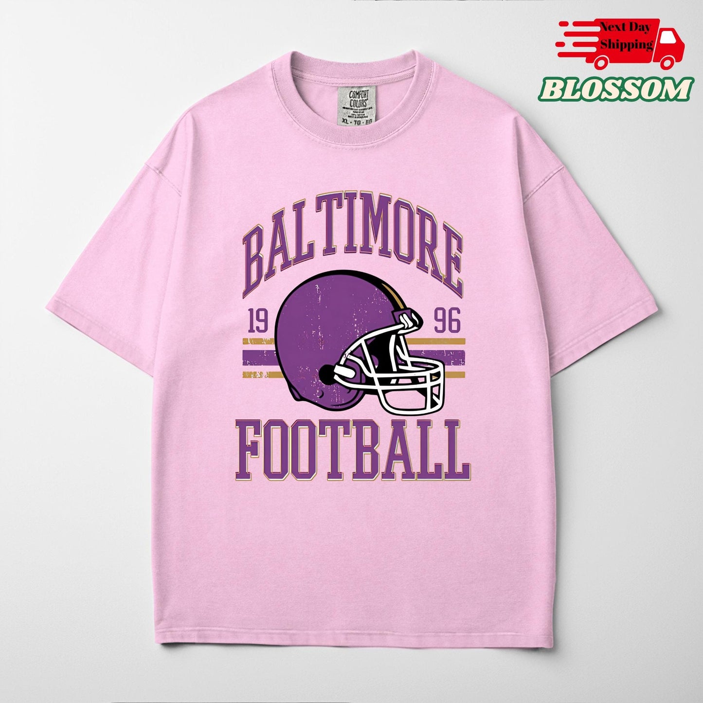 Comfort Colors Baltimore Football T-Shirt: Raven Fan Game Day Tee
